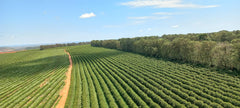 Photo origine ferme