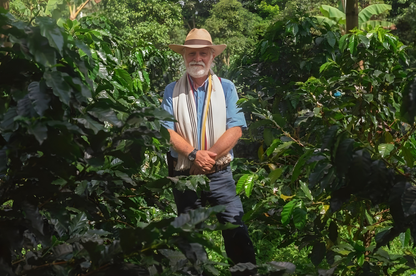 JAIME ZULUAGA - Espresso