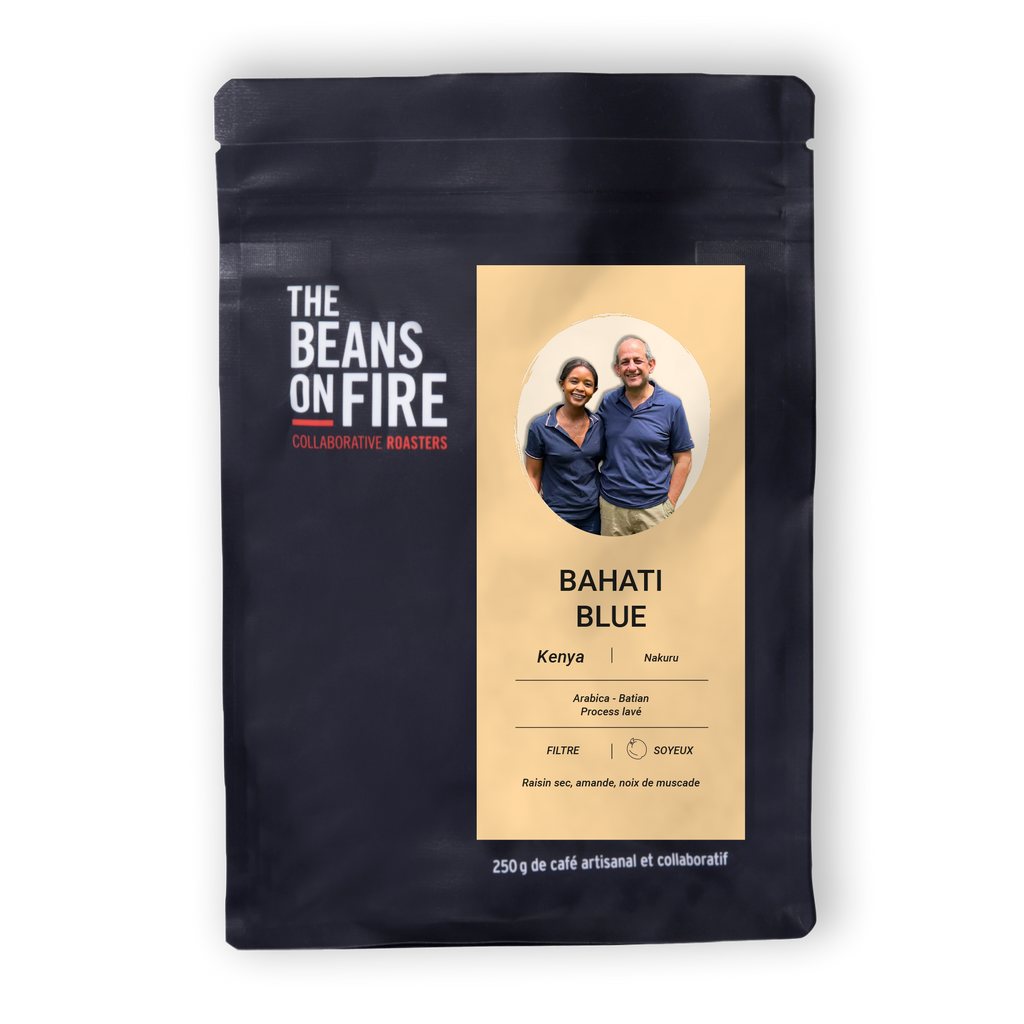 BAHATI BLUE - Filtre