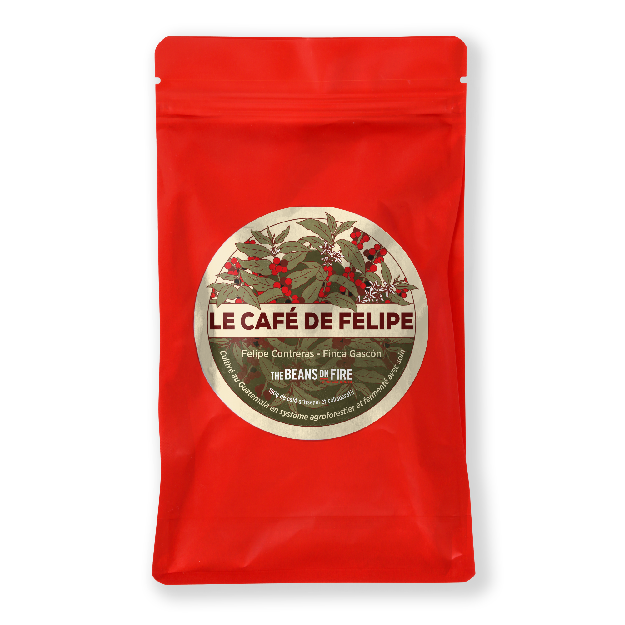 Le café de Felipe - Filtre