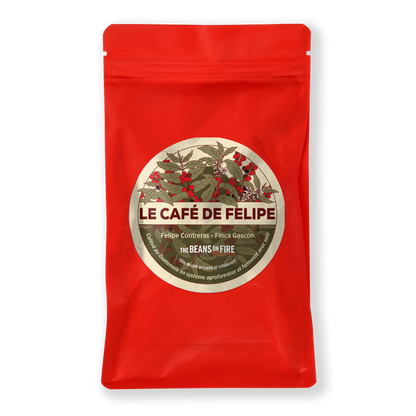 Le café de Felipe - Filtre