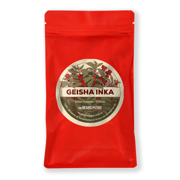 Geisha Inka - Filtre