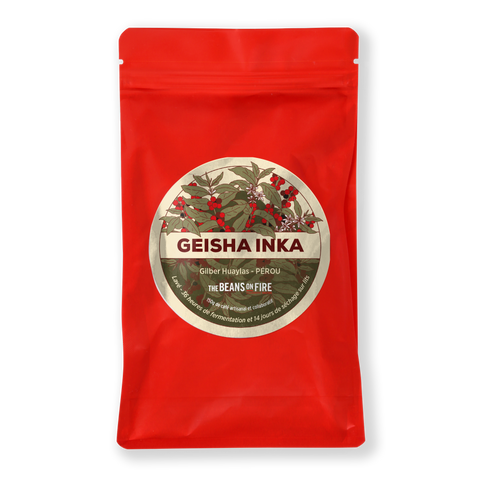 Geisha Inka - Filtre