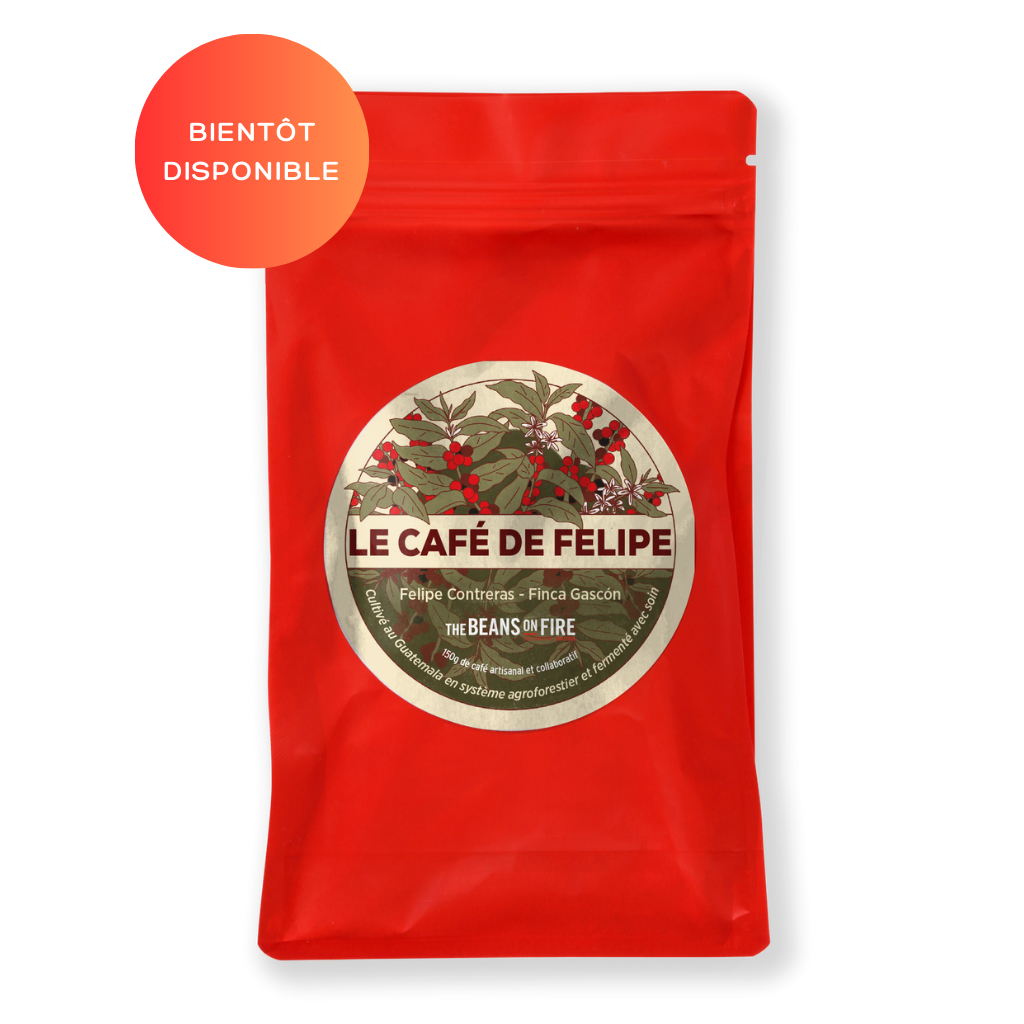 Le café de Felipe - Filtre