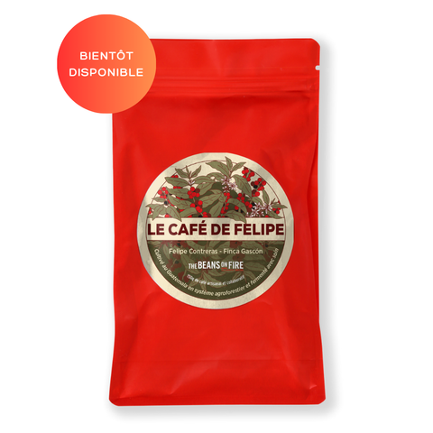 Le café de Felipe - Filtre